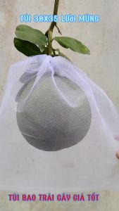 [ 25*35cm ] 100 CÁI TÚI LƯỚI TỐT BAO BỌC TRÁI BƯỞI  DƯA LƯỚI ...-TÚI BỌC TRÁI CÂY
