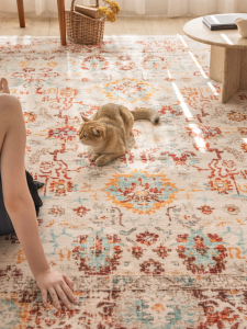 Laoran Old Dream Graphene Heating Carpet Detachable Washable Living Room Floor Mat Electric Warmth Pad Comfortable Velvet Fabric