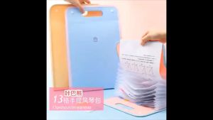 Túi đựng hố sơ tài liệu 13 ngăn dùng đa năng và tiện lợi (Khổ A4)