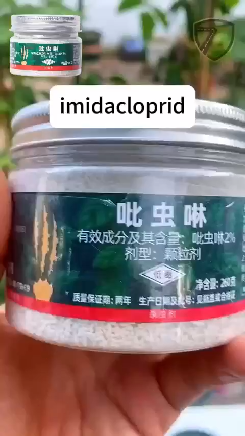Plant Insecticide Fungicide Imidacloprid Granules Odorless Pest Control for Flower Green Succulent Soil