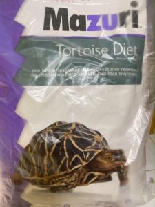พร้อมส่ง อาหารเต่าบกมาซูริ 5M21 (สูตรดั้งเดิม) Mazuri Tortoise Diet