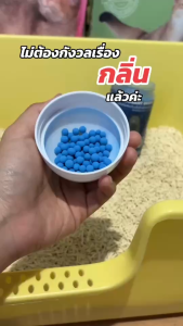 [สินค้าใหม่] คาลู "CALOO" เม็ดบีดส์ที่ดับกลิ่นทรายแมว กลิ่น Bubble gum หอมสดชื่น ขนาด 450 กรัม