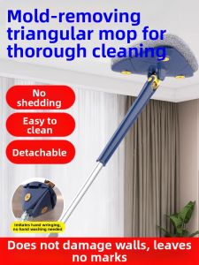 FANMUAO | Strong Mold Remover Cleaning Tool