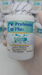 โพลิเคชัน โปรบิโทิก พลัส แล็กโทบาซิลลัส คาเซอิ Probiotic Plus Lactobacillus casei ตรา บลูเบิร์ด 600 มิลลิกรัม 60 แคปซูล