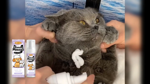 Pet Cleansing Mousse No-Rinse Water-Free Eeljoy Freshness Soothing Clean forCats & Dogs. 100ml