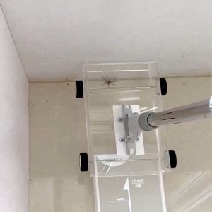 ใหม่!! ไม้จับจิ้งจกและแมลง แบบล้อเลื่อน handy.b กล่องใหญ่ ไม้ยืดหดได้