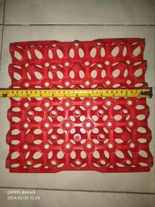 Chicken egg tray large xl Jumbo plastic materials