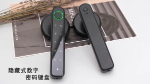Foshan Gagang Smart Door Lock pintu rumah sidik jari Fingerprint Password Card RFID Alarm M20