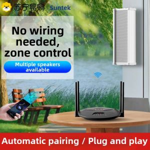 SAST | SAST D2 Wireless Bluetooth Speaker Outdoor Waterproof Wall-Mounted Audio Column Square Outdoor Hanging 310 Sound System