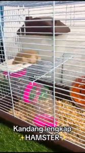 Rumah Kandang Hamster Tikus Burung Sugar Glider Landak Mini Sweet 2 Tingkat Mewah 10#