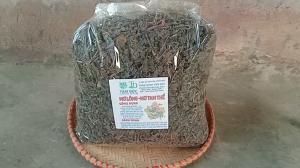 100g cây mơ lông tam thể sấy khô