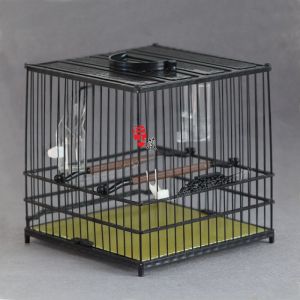 Bảng Lồng Chim Bằng Thép Nhựa Thế Hệ Thứ Hai Áo South Show Lồng Tắm Được Làm Theo Yêu Cầu Cho Vát Ngựa Vằn Và Vát Ngựa Miễn Phí Vận Chuyển