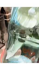 KIYO Sikat Pembersih Botol Minum Silikon Gagang Panjang / Sikat Botol Kualitas Bagus Foodgrade Kuat Kokoh / Sikat Pembersih Botol Silikon Lentur