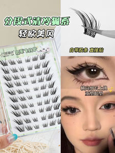 Rulin Po Fox Series Self-Adhesive False Eyelashes for Women Natural Looking Makeup Artist Beginner Special Use No Glue Needed