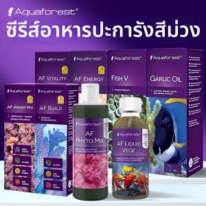 AQUAFOREST | Thức Ăn San Hô Cho Cá SPS LPS Giàu Vitamin Bột