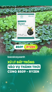 Combo Ngăn Ngừa Héo Xanh Vàng Lá Rau Màu BS03 Physa BS09 Ryzen - Bác Sĩ Cây Xanh