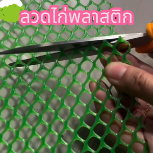 (ยกม้วน 25 เมตร) ตาข่ายพลาสติกสีดำ สีเขียว ตาข่ายPVC ตาข่ายรองหินจัด สวน ตะแกรงพลาสติก ตาข่ายล้อมรั้ว ตาข่ายทำกรงสัตว์เล
