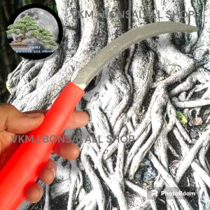 Gergaji khusus Repoting akar Bonsai  dan Rumput
