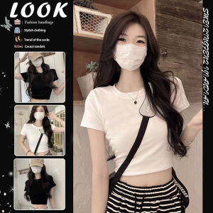 Slim Fit Shapely Short Sleeve Crop Top Tee