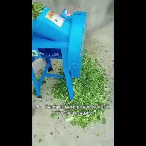 [GIORGIO ARMANI MALL] ราคาถูกสุด เครื่องสับหญ้า เครื่องสับหยวก เครื่องบดอาหารสัตว์ บดหญ้าและชนิดอาหารผักอย่างง่ายดาย Electric grass cutter grass chopper small household feed machine เหมาะสำหรับสุกร โค แกะ และฐานเพาะพันธุ์สัตว์อื่นๆ เครื่องสับหญ้าเนเปียร์