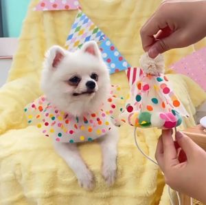 Hat Cat Bib Costume Pet Birthday Party Bibs Pet Polka Dot Lace Birthday Bib Hat And Clothing Set Birthday Costume