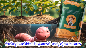 ไตรโคเดอร์มา trichoderma ไตรโครเดอร์มาแบบผง 500 กรัม
