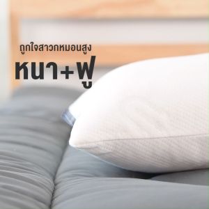 หมอนยางพารา รุ่น Yamashiro ผลิตยางปั่น 100% สุขภาพ นิ่มเด้ง แก้ปวดคอ