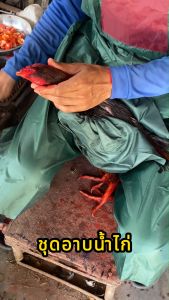 ชุดกันน้ำ ชุดอาบน้ำไก่ ชุดกาดน้ำไก่ ขนาดฟรีไซส์ ใส่ได้ทุกเพศทุกวัย