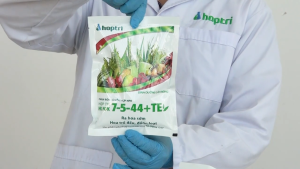 ( Hợp Trí ) HK NPK 7-5-44+TE (40G) - PHÂN BÓN LÁ HỖN HỢP NPK - RA HOA SỚM HOA TRỔ ĐỀU ĐỒNG LOẠT - Hàng Hiệu Chính Hãng