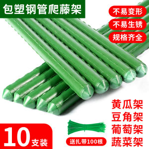 Pro-Residence เหล็กสไตล์ Pastoral GROUND Planter ดอกไม้/สีเขียวกรอบสําหรับสวนกลางแจ้งสีเหลือง Gourd ดึงคงที่กรอบหลอดพลาสติก VINE ยืน