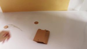 Túi Quà Giấy Kraft Retro Tự Làm Màu Trắng/nâu Đựng Bánh Quy Quà Cưới Kẹo Thực Phẩm Kèm Dây Thừng Dùng Trang Trí Tiệc Sinh Nhật