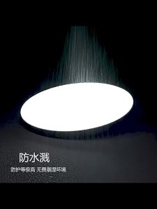PAIMIJI | High Brightness Waterproof Insect-Resistant Outdoor Light