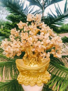 ต้นไม้เสริมฮวงจุ้ย สีทอง ความรุ่งเรือง มั่งคั่ง ร่ำรวย ของขวัญมงคล ตกแต่งบ้าน