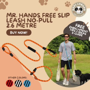 ✅[SG] MR. HANDS FREE SLIP LEASH NO-PULL 2.6 Metre ★ Loose Leash Walking & Training ★ FREE Loose Leash Walking e-Guide Worth $7 ★ SG Stock ★ Kopi Lobang