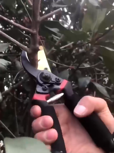 กรรไกรตัดแต่งกิ่ง กรรไกรตัดกิ่งไม้ ประหยัดแรงงาน กันไกรตัดกิ่ง อุปกรณ์ทำสวน ลดแรงกด น้ำหนักเบา SK5 KomoreCC