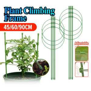 【Ready Stock】🔥Conical Plant Climbing Support Stick Net Flower Rack Ring Frame Stand Garden Trellis Vines Sokongan Tumbuhan 植物爬藤架 攀爬圈