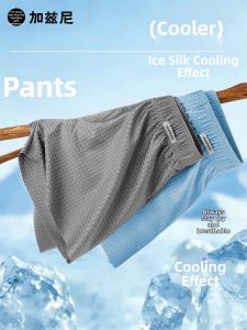 JIAZINI | Breathable Premium Shorts