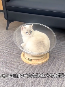 Pet Cat Bed Washable Space Capsule Cat Nest 2-in-1 Cat Bed with Ball Toy Removable Cat Pet House