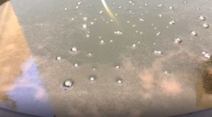 ชุดเพาะไรแดง 1 ชุด 3 ขวด อาหาร 1 ขวด 1 ถุง พร้อมสูตรลับ คลิปการเพาะทุกขั้นตอน