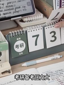 A5 Coil Book Creative Ins Book Diary Loose-Leaf Handbook Notebook