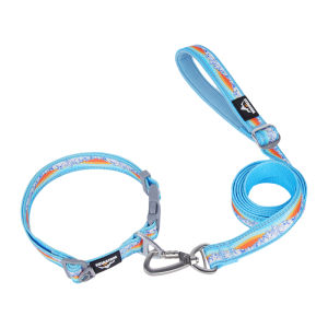 Dog Collar Leash Set Escape Proof Reflective Threads 360 Swivel Buckle Adjustable Strap Nylon Webbing