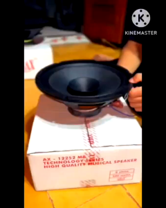 Speaker Audax AX 12252 M8 / AX 12252M8 Full Range