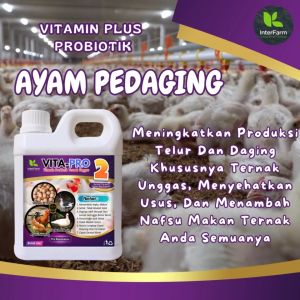 InterFarm Vita-Pro 2 - Vitamin & Probiotik Pemulihan Kesehatan Ayam Kampung 1 Liter