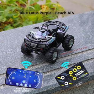 Mini Alloy RC Toy Model Car 1:64