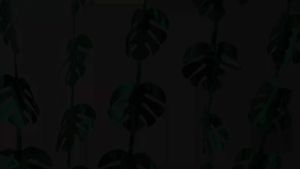 Tropical Luau Green Palm Leaves Foil Fringe Curtains Jungle Leaf Tinsel Backdrop for Safari Birthday Hawaiian Aloha Party Decor