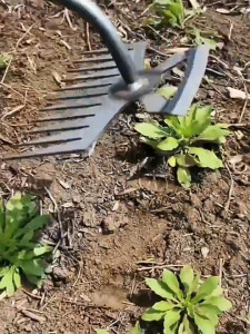 New 11-Tooth Weeding And Rooting Tool Gardening Rake Root Removal Manganese Steel Hand-held Garden