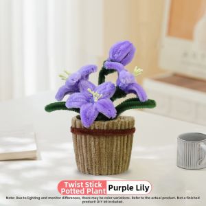 XIAOXIONGERBAN | National Day DIY Pipe Cleaner Flower Pot Craft Kit for Kids Preschool