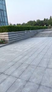 สายจูงนกแก้ว 3m 5m สายจูงนกฟอพัส สายจูงนกซันคอ สายจูงนกเล็ก สายจูงนกหงหยก สายจูงนกฝึกบิน สายคล้องขานก