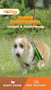 QuickSip Collapsible Bowl – Compact & Travel-Friendly for Pets