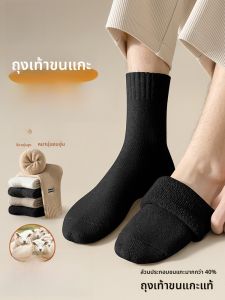 MiiOW | ถุงเท้าผ้าขนสัตว์หนาสำหรับผู้ชายในช่วงฤดูหนาว ถุงเท้าลำลอง ความยาวครึ่งแข้ง อบอุ่นและกันหนาว ถุงเท้าขนแกะ